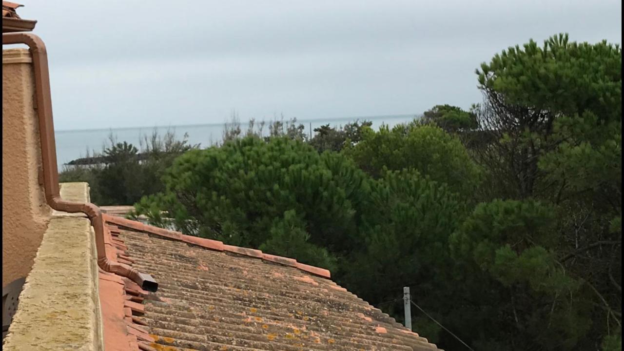 Vias Plage : Residence Securisee Bord De Mer Exterior photo