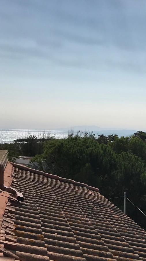 Vias Plage : Residence Securisee Bord De Mer Exterior photo